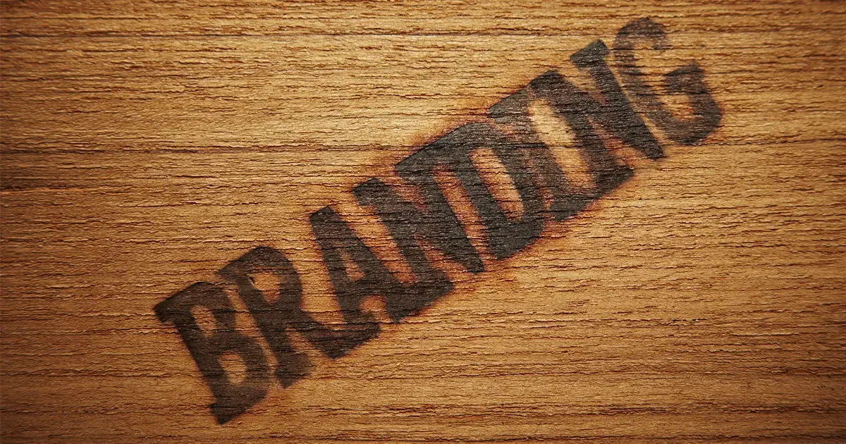 A Beginner's Guide to Brand Hierarchy Models