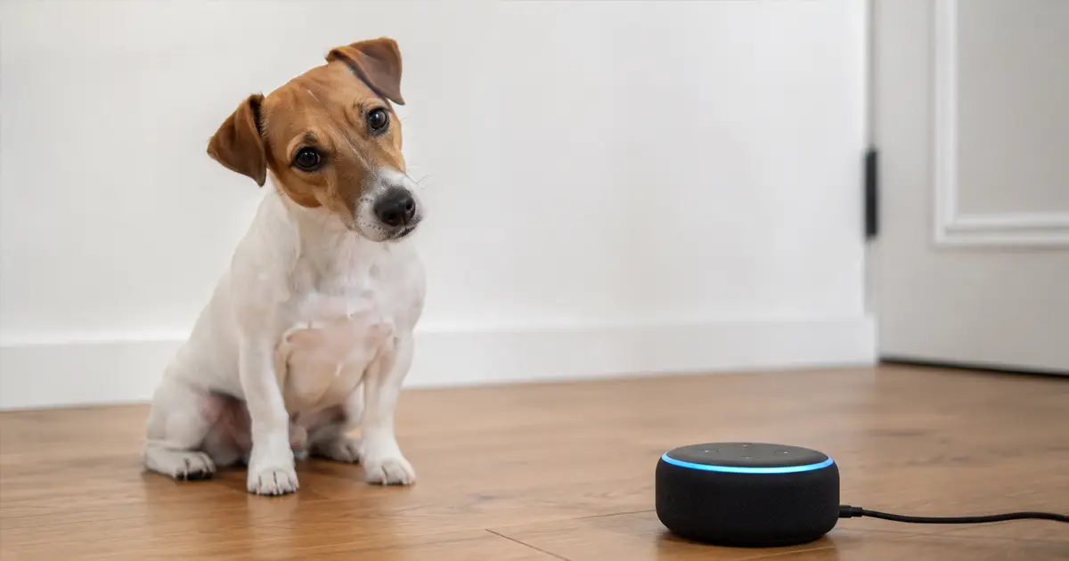 Everything That Changed from Amazon Rufus to Alexa for Shopping (Besides the Name)
